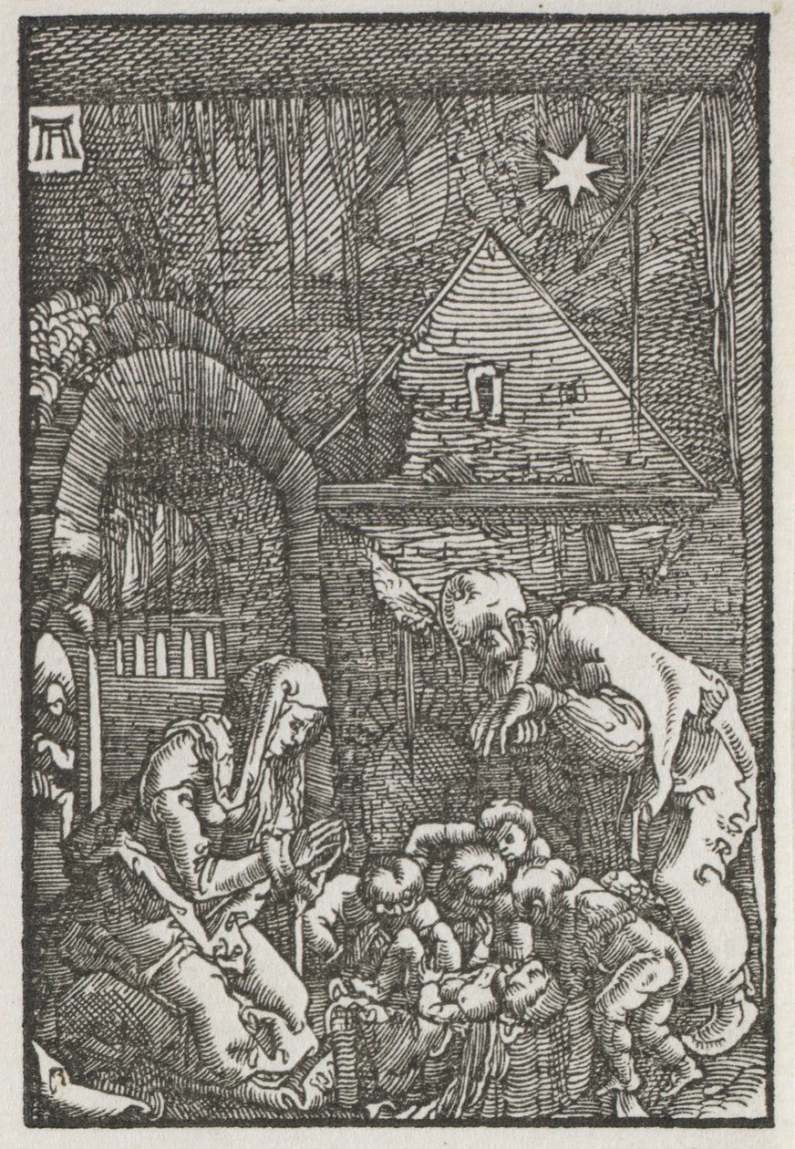 The Fall and Redemption of Man: The Nativity by Albrecht Altdorfer