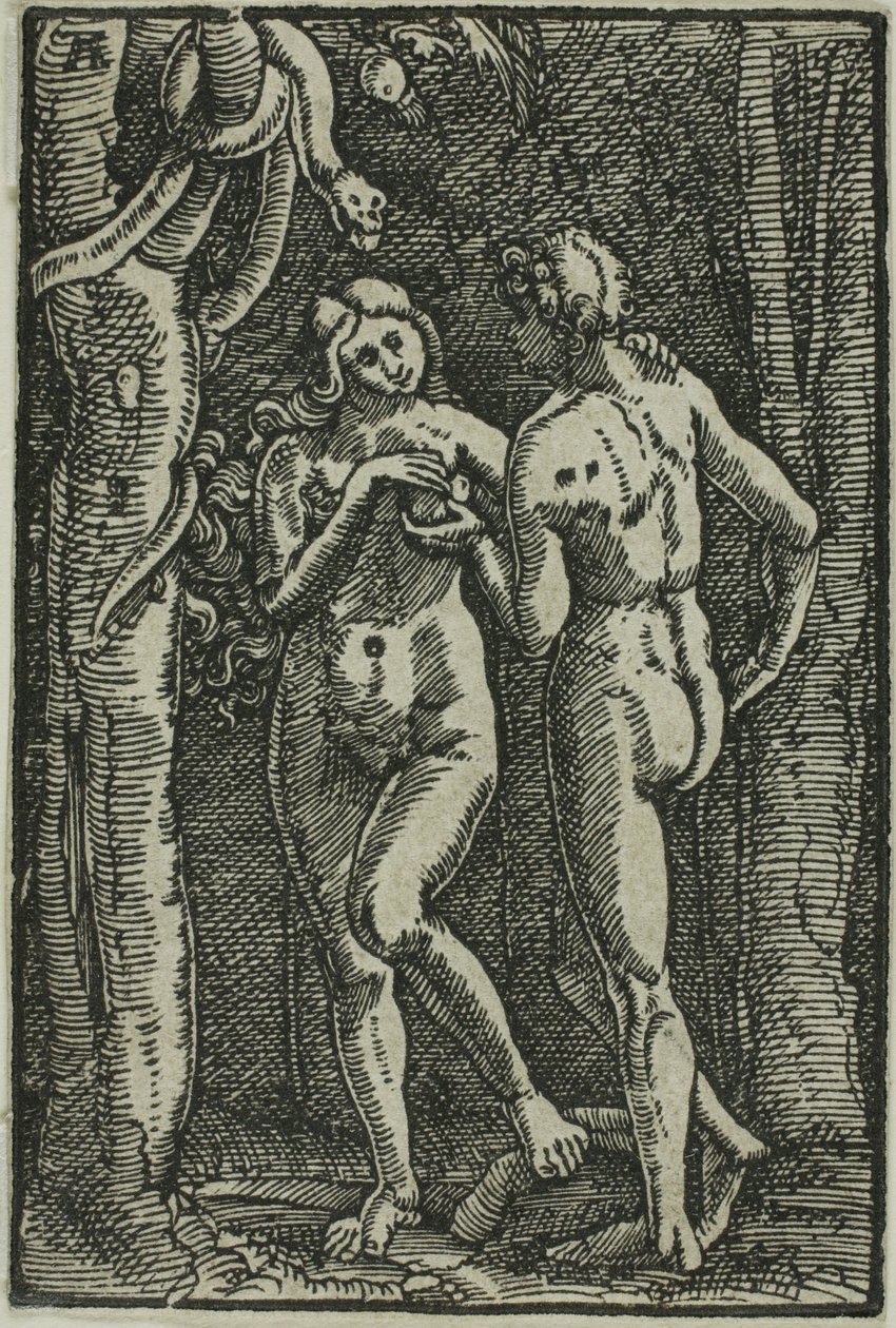 The Fall of Man (from The Fall and Redemption of Man) by Albrecht Altdorfer