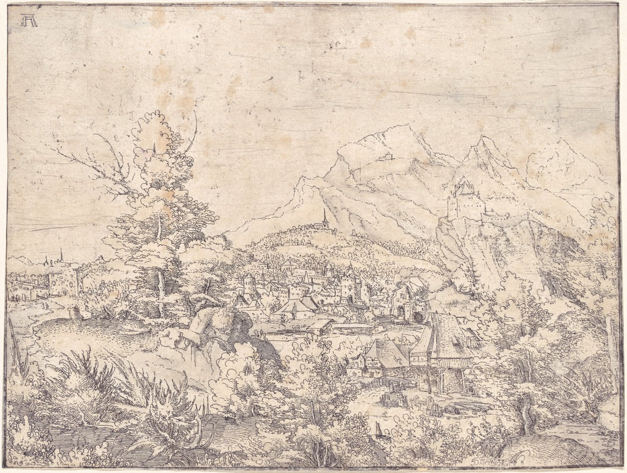 The Great Landscape with the Water Mill by Albrecht Altdorfer