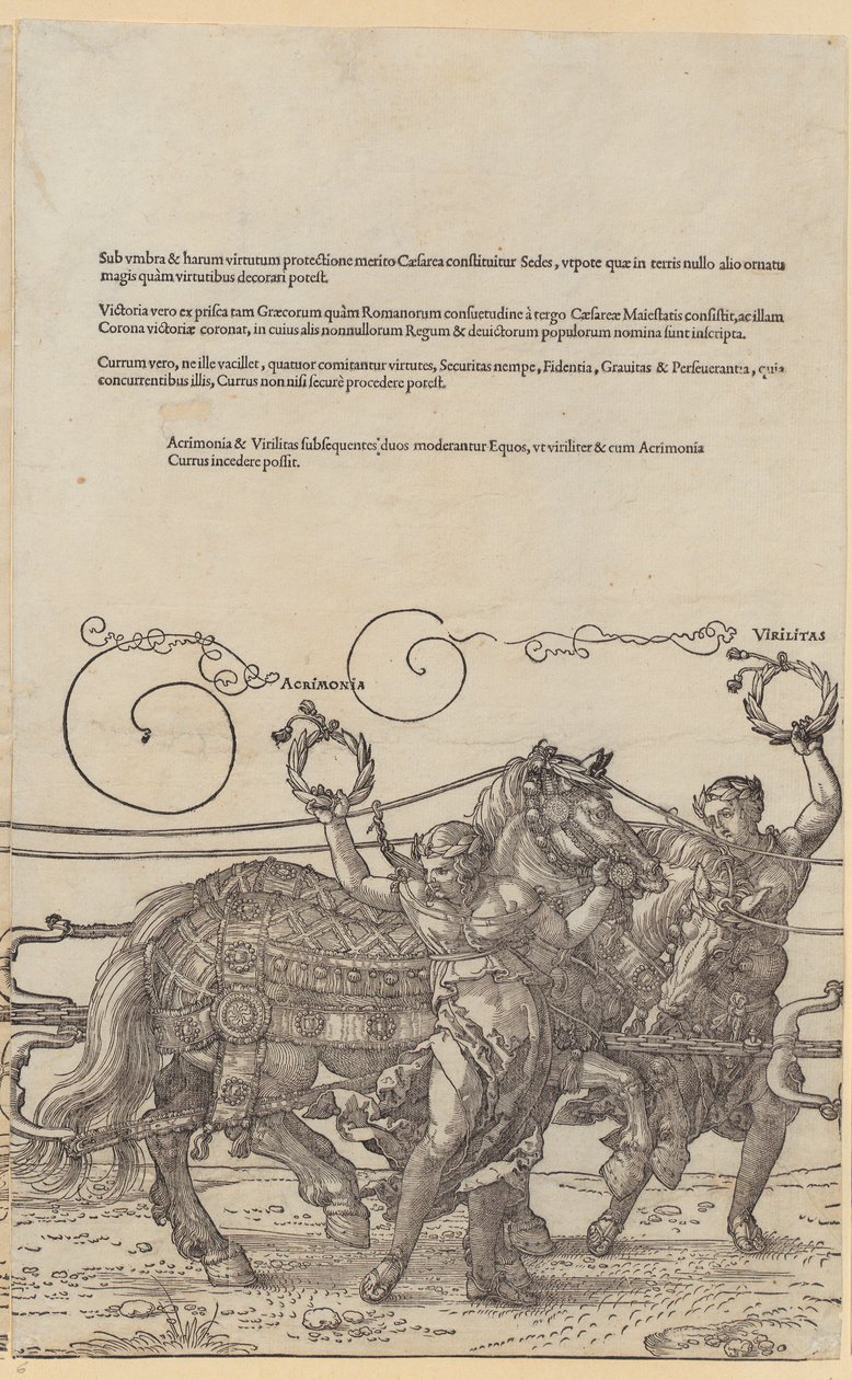 Acrimonia, Plate 6 from the Series 