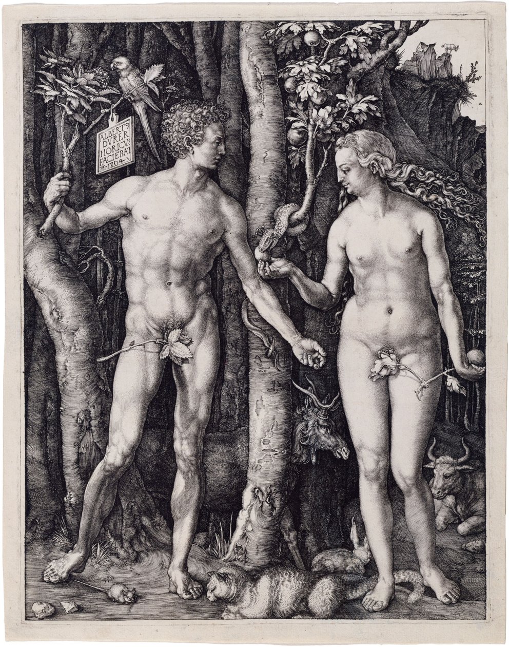 Adam and Eve by Albrecht Dürer