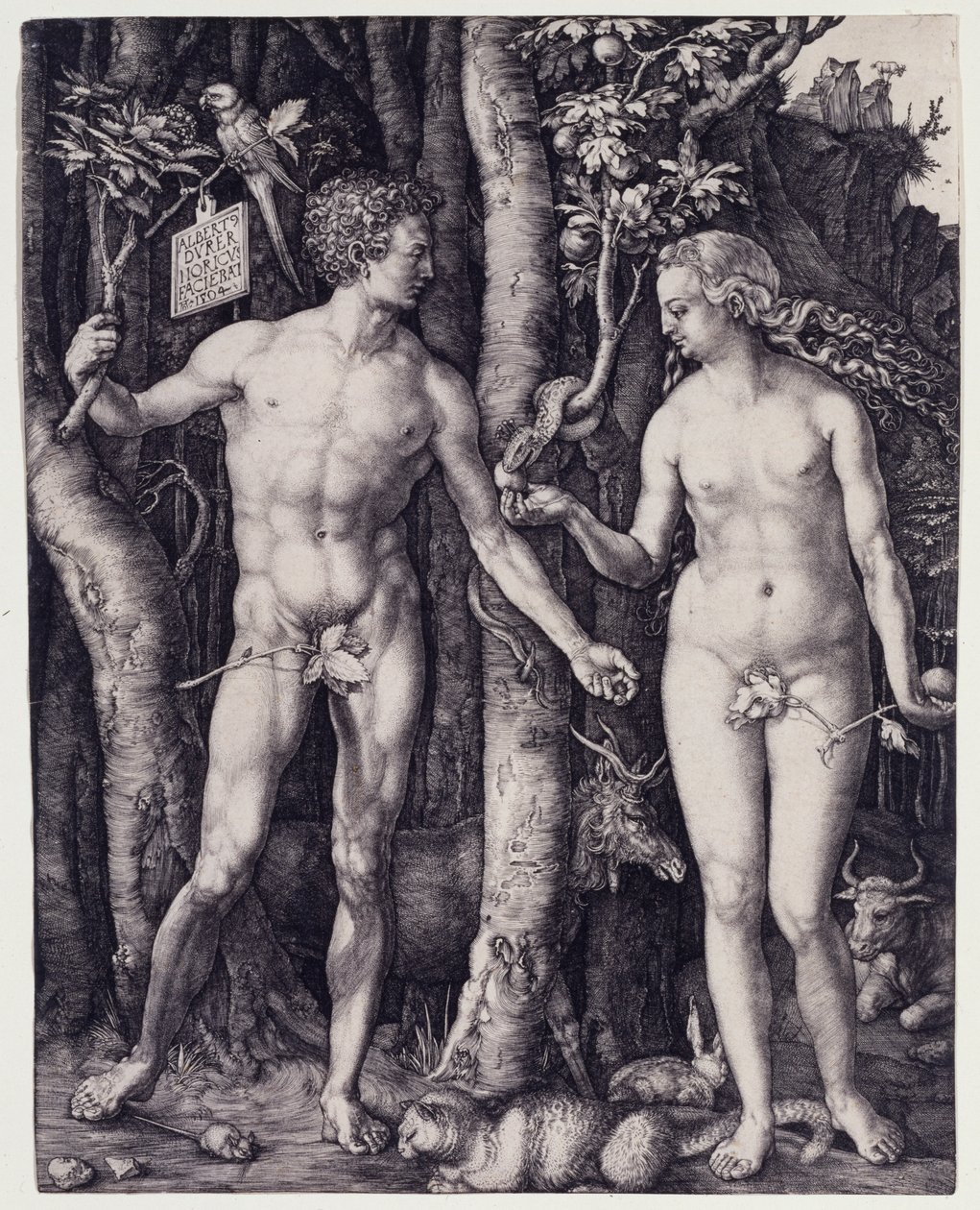Adam and Eve by Albrecht Dürer