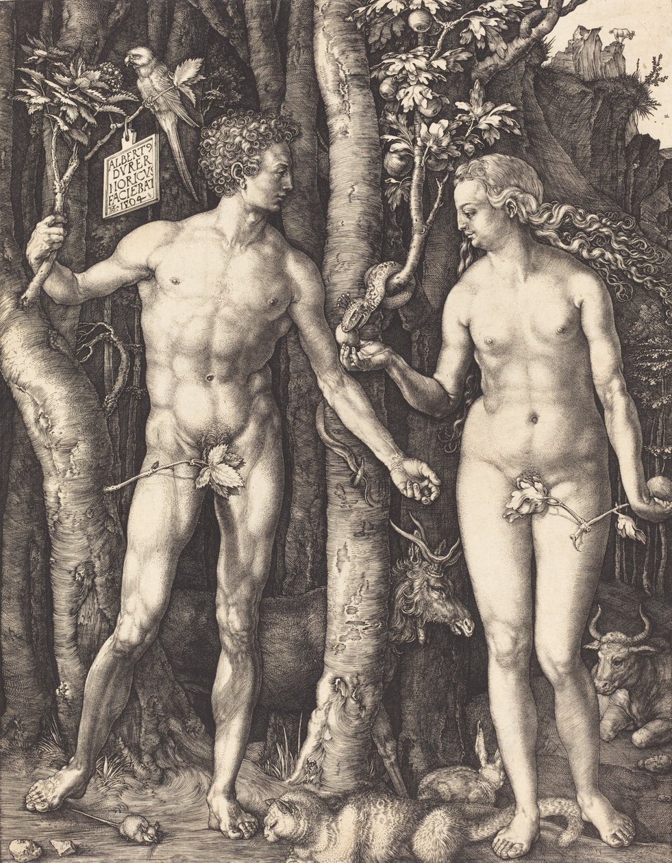 Adam and Eve by Albrecht Dürer