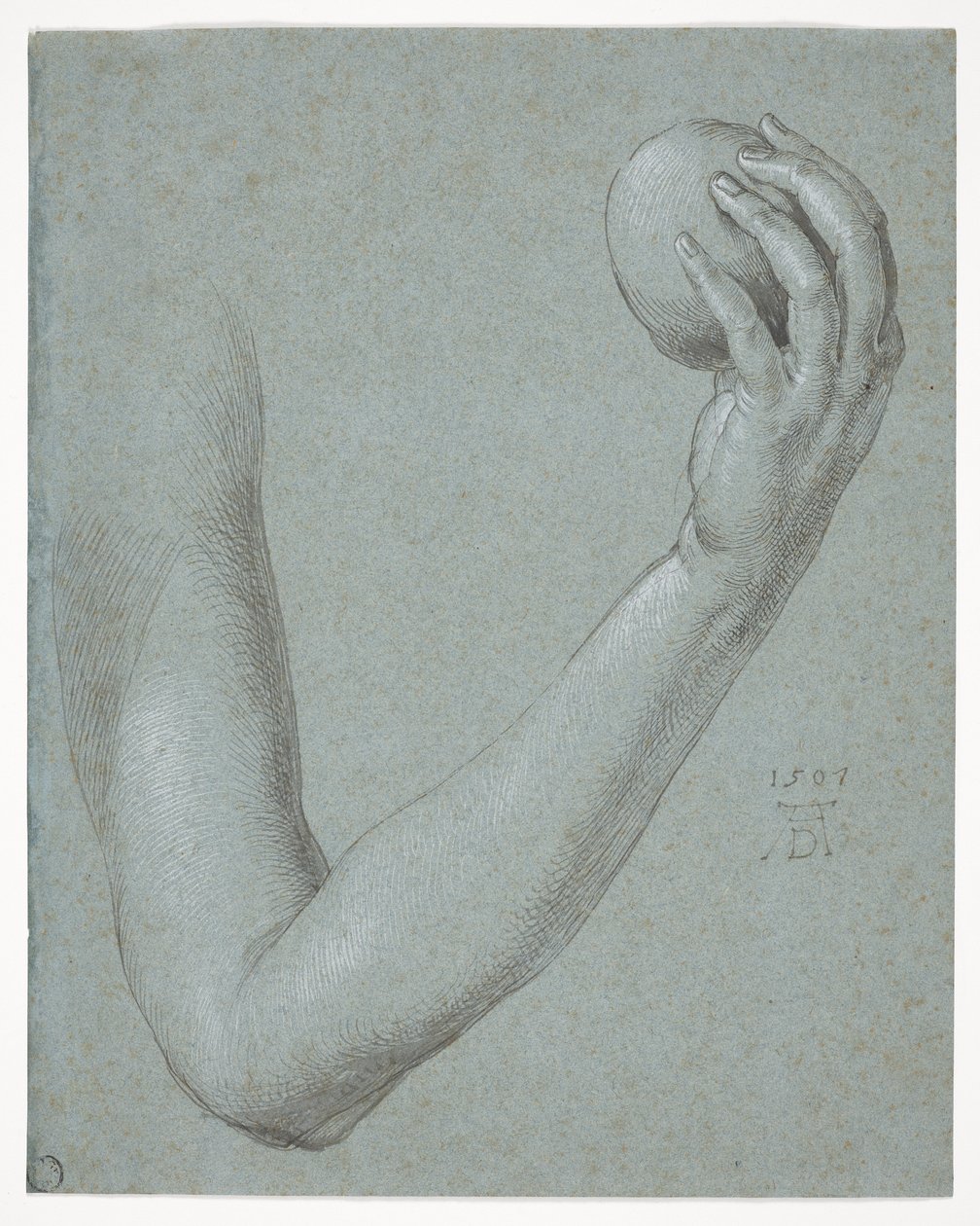 Arm of Eve by Albrecht Dürer
