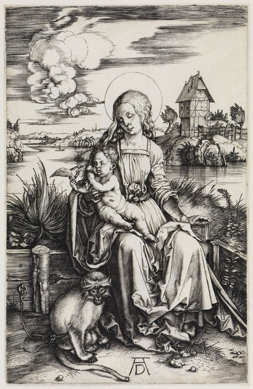 The Madonna with the Monkey by Albrecht Dürer