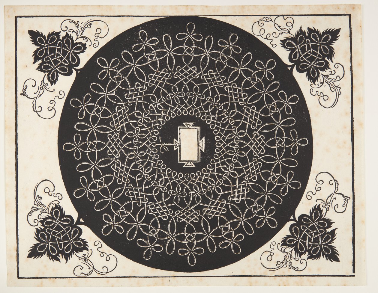 Interlaced Cord Pattern with Oblong Shield by Albrecht Dürer