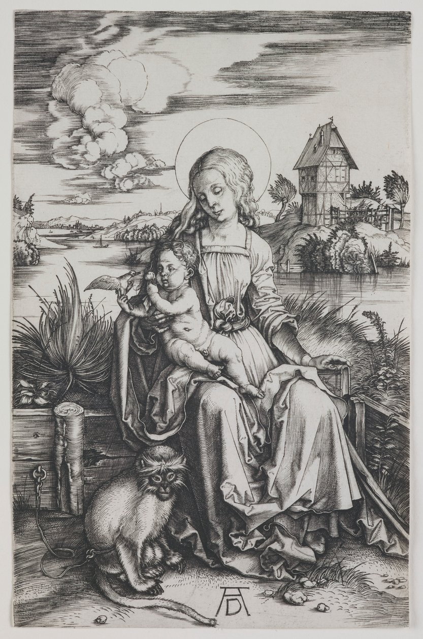 Madonna with the Monkey by Albrecht Dürer