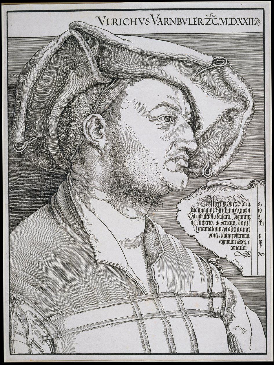 Portrait of Ulrich Varnbüler by Albrecht Dürer
