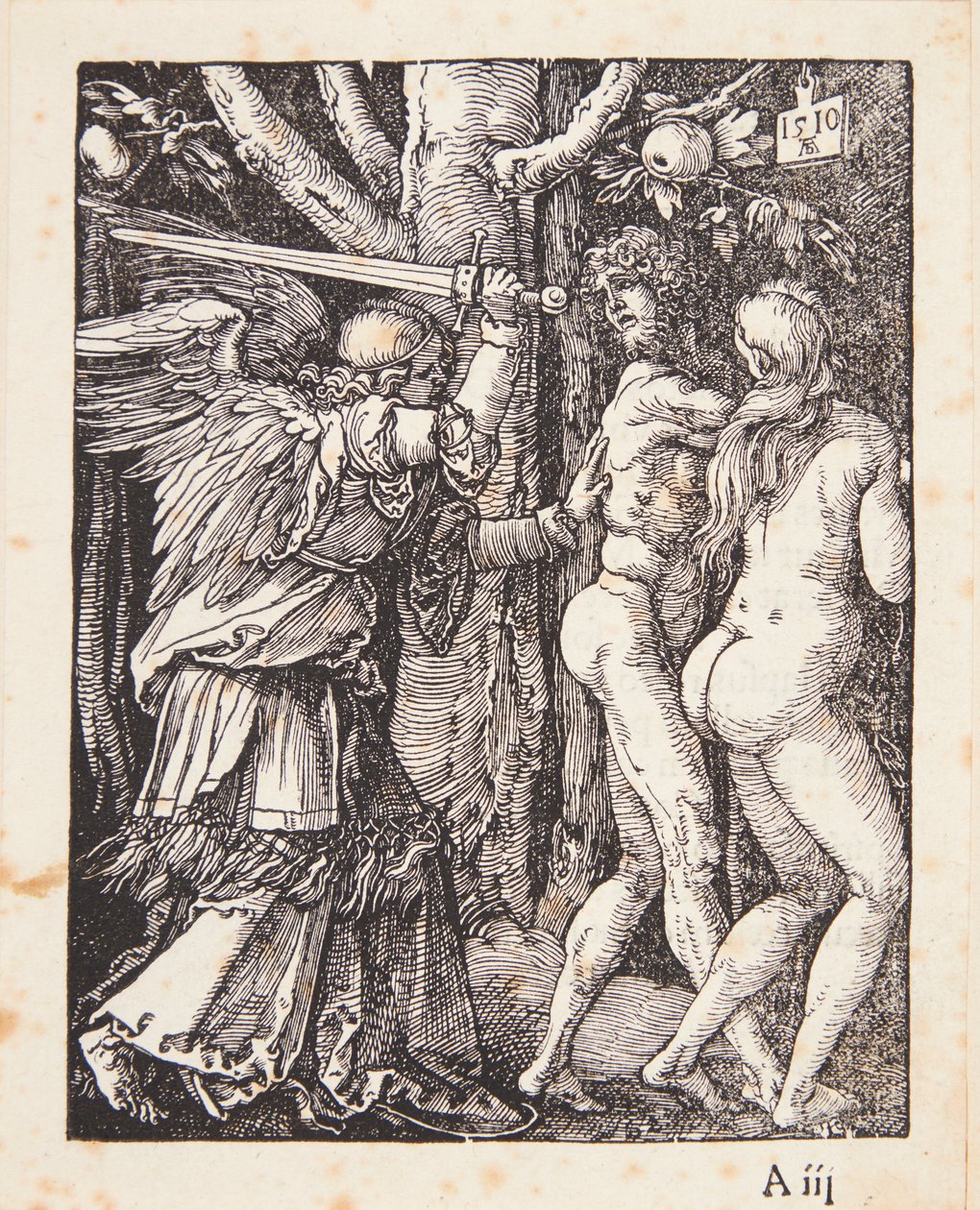 The Expulsion from Paradise by Albrecht Dürer