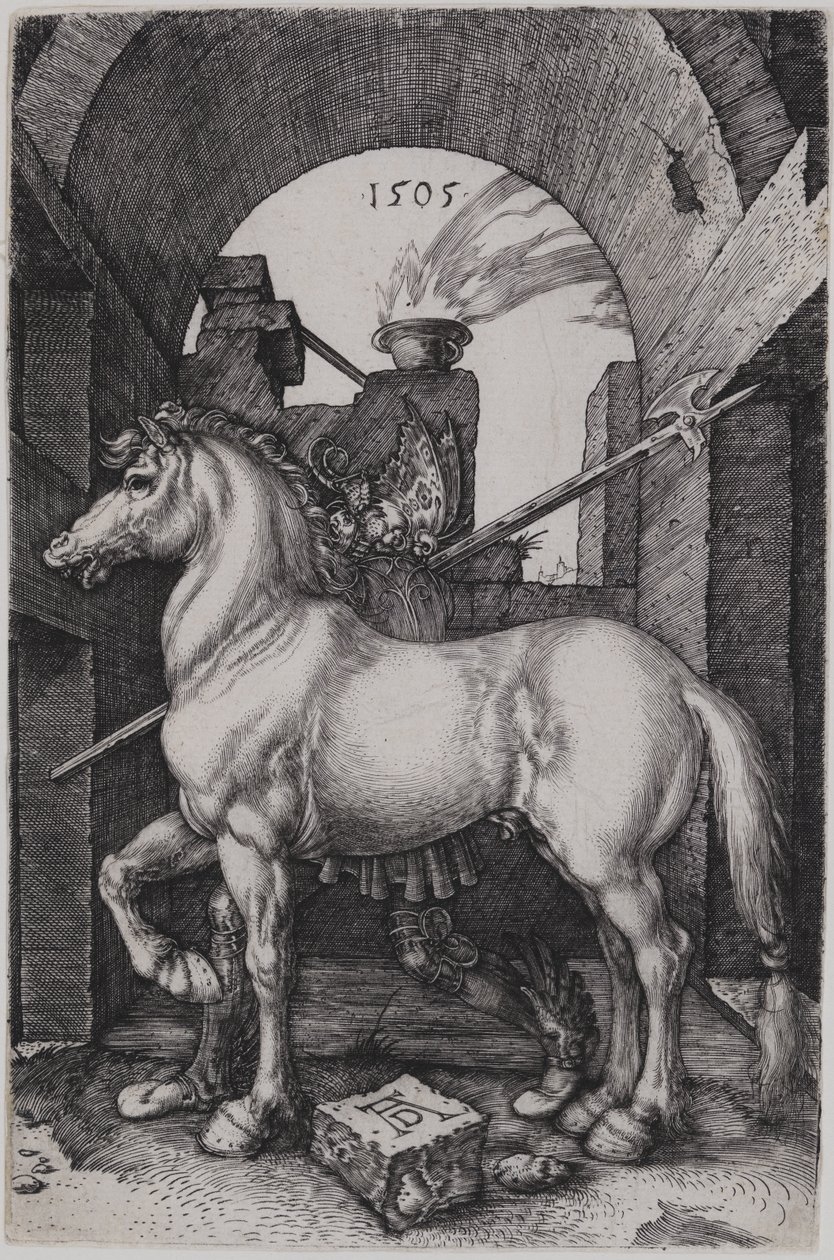 The Little Horse by Albrecht Dürer