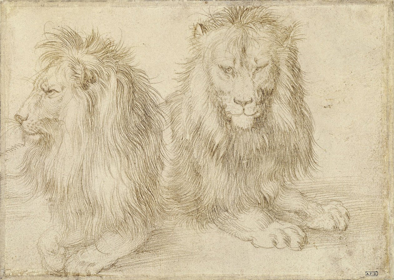 Two Seated Lions, 1521 by Albrecht Dürer