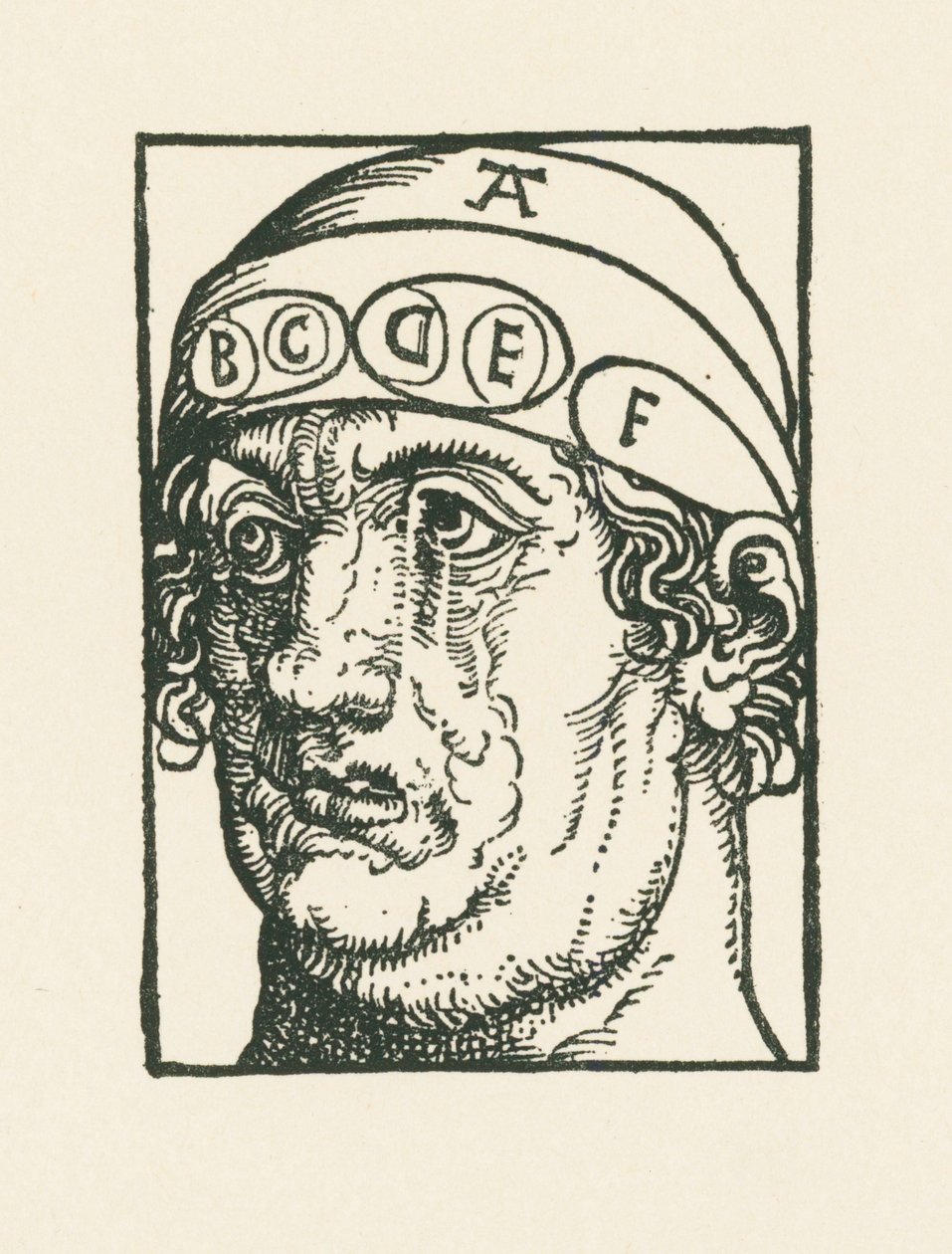 Head for the Purpose of the Study of Phrenology by Albrecht Dürer or Duerer