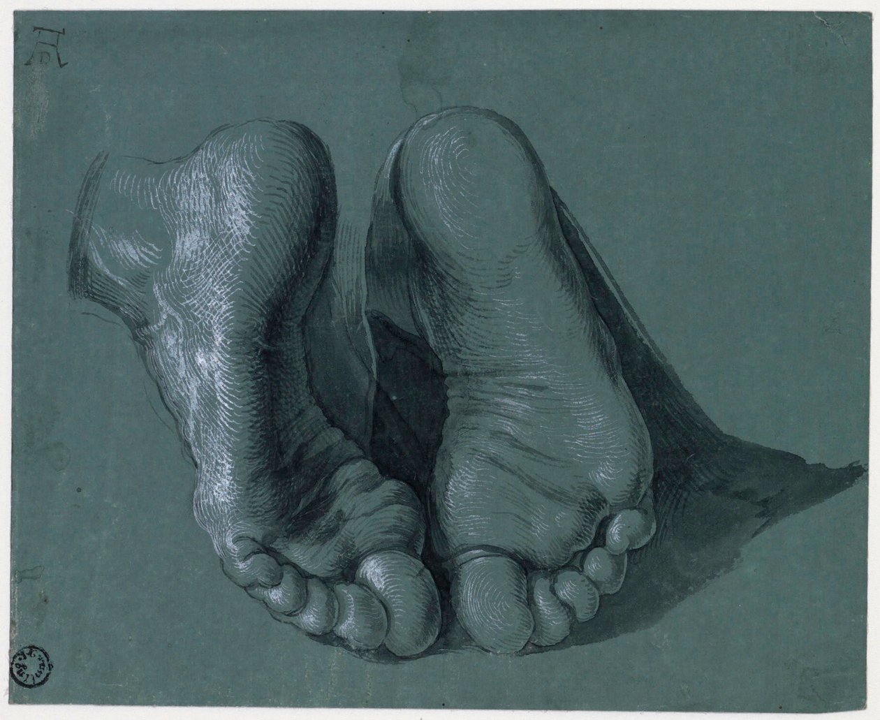 Study of Two Feet - Drawing by Albrecht Durer by Albrecht Dürer