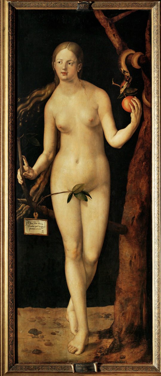 Eve by Albrecht Dürer or Duerer