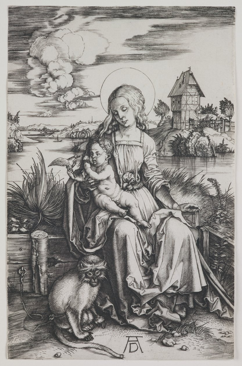Madonna with the Monkey by Albrecht Dürer or Duerer