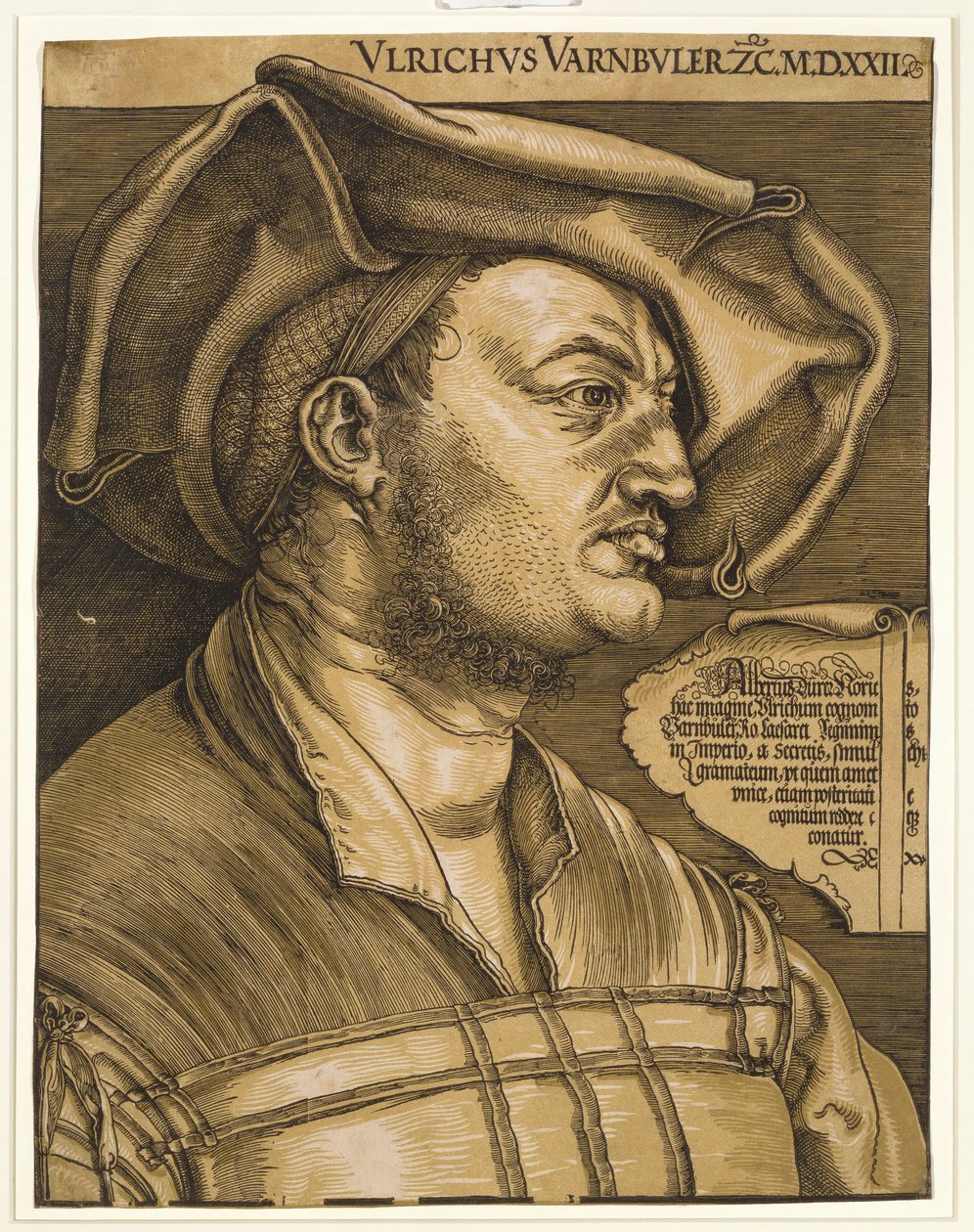 Ulrich Varnbuler by Albrecht Dürer
