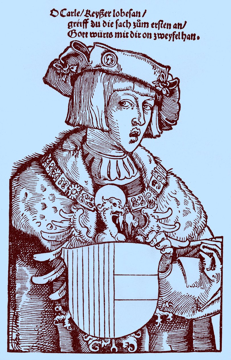 Youth Charles V (1500-1558) (engraving) by Albrecht Dürer