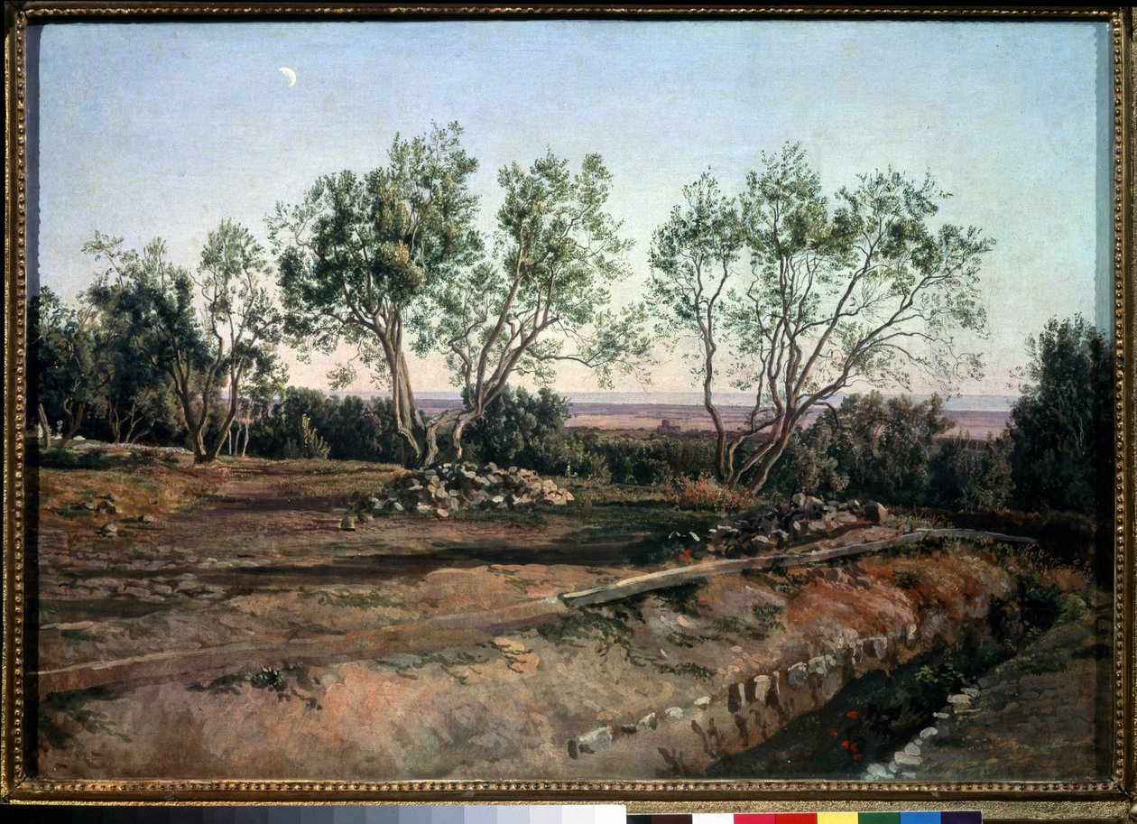 Olive Trees Near the Cemetery of Albano by Aleksandr Andreevich Ivanov