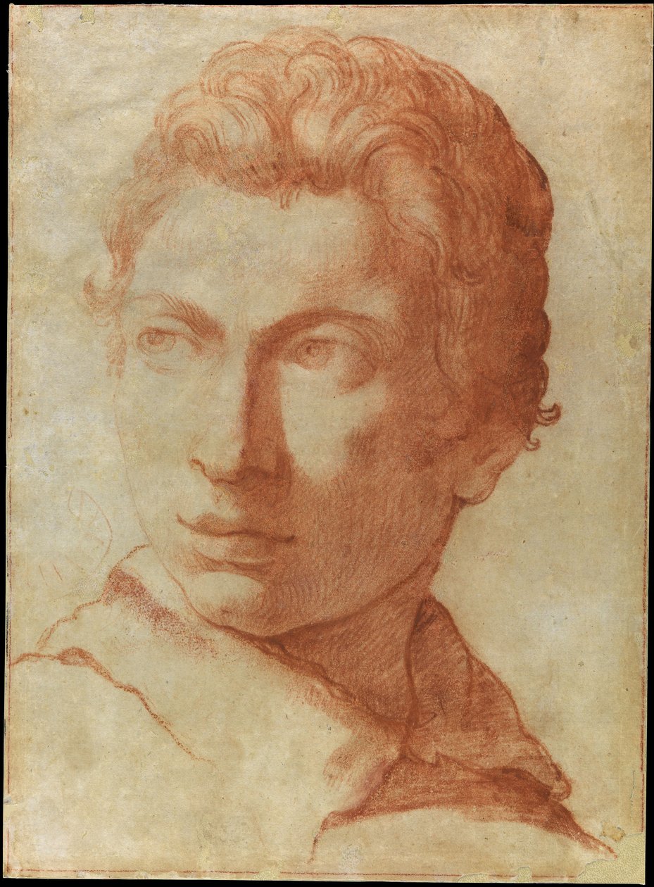 Head of a Young Man by Alessandro Tiarini