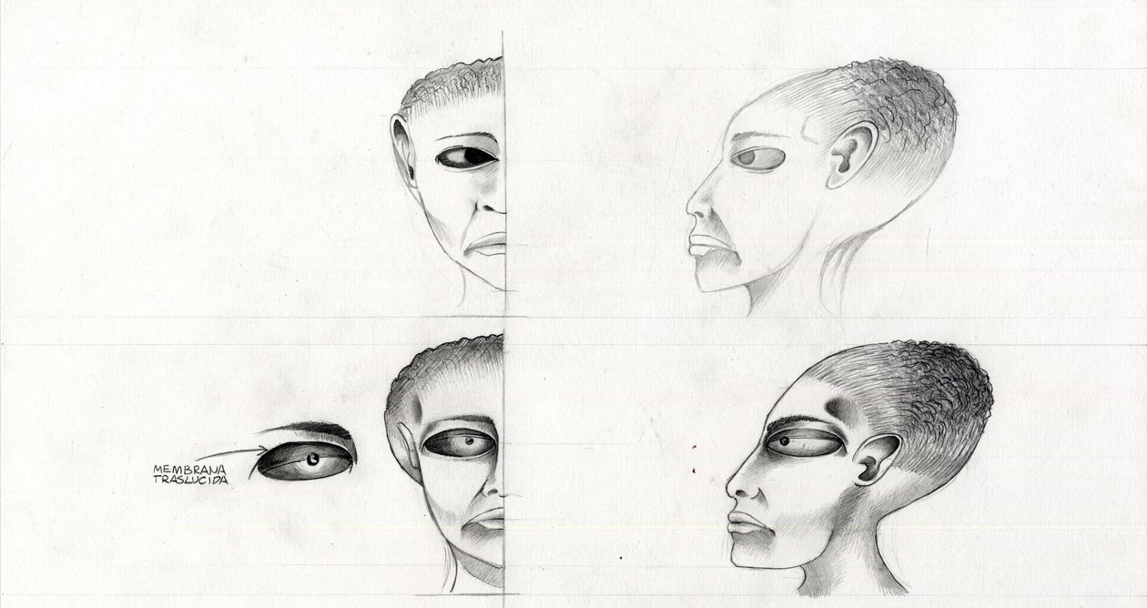 Study of the Face of an Alien from Mars by Alessandro Lonati