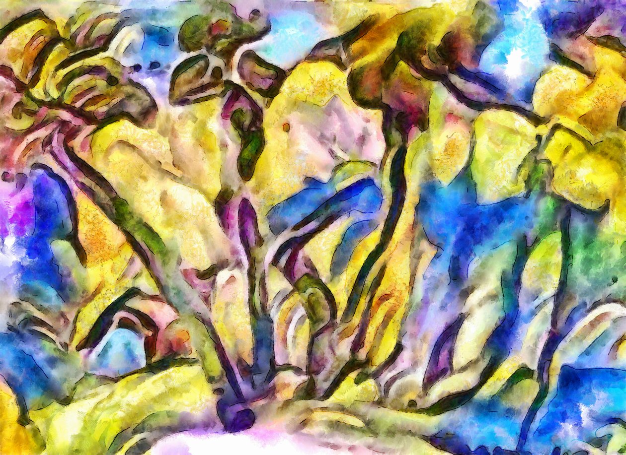 Edge of the Forest by Alex Caminker