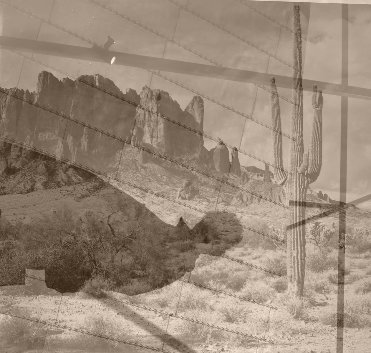 Desert, 2019 by Alex Caminker