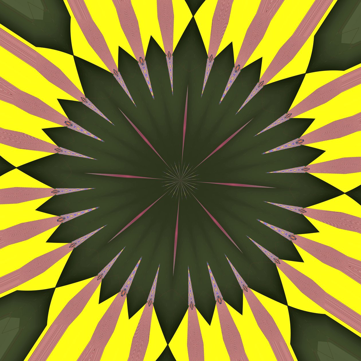 Sunflower by Alex Caminker