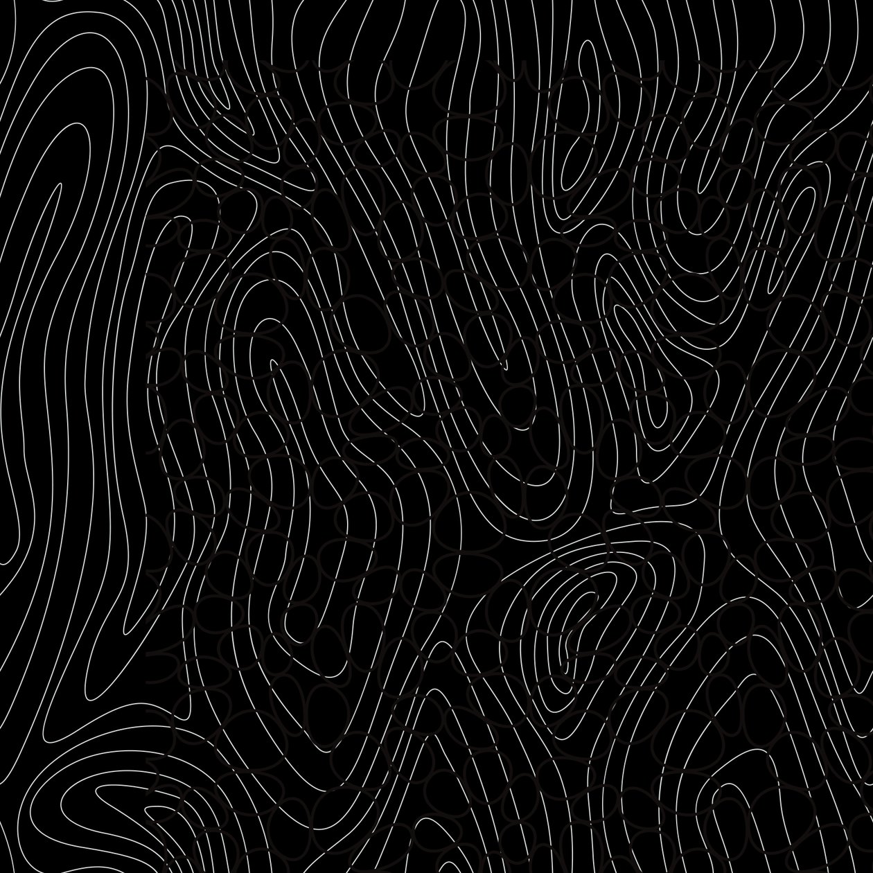 Tree Rings by Alex Caminker