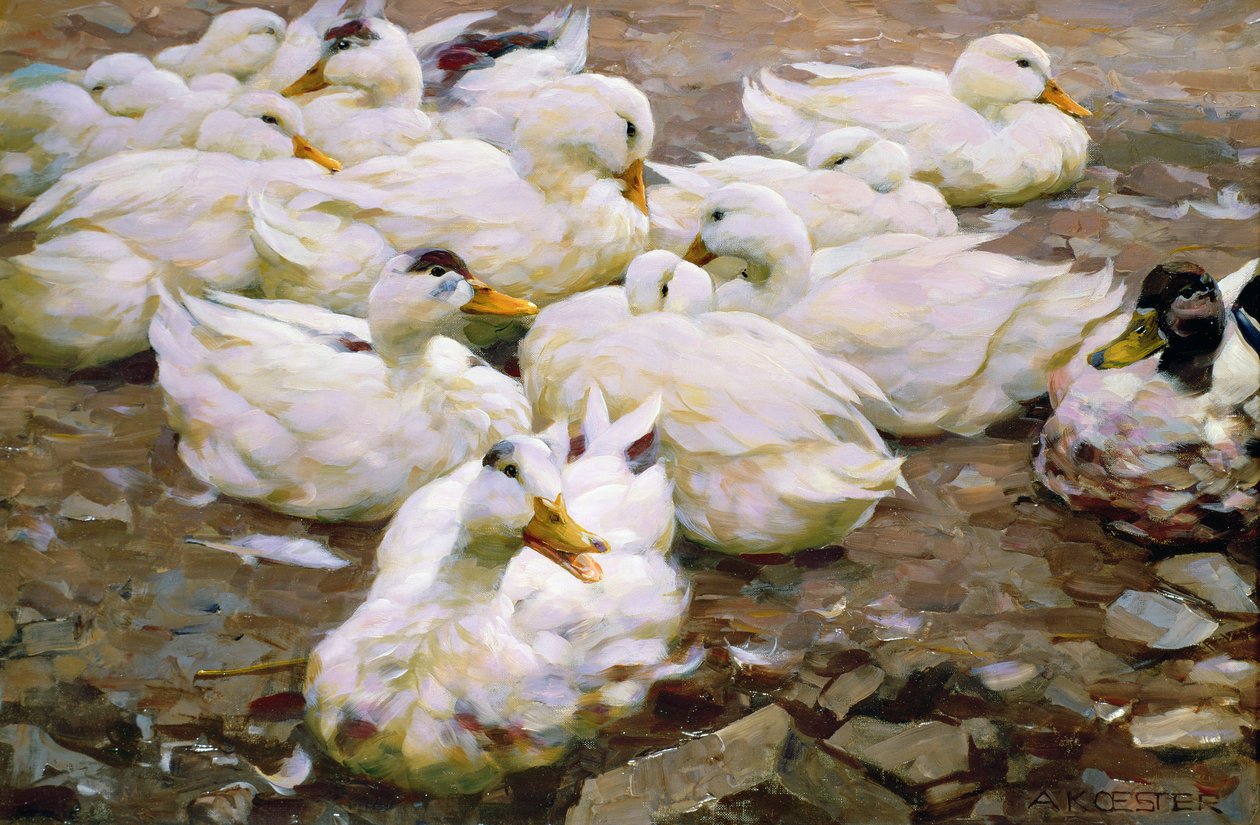Ducks on a Pond by Alexander Koester