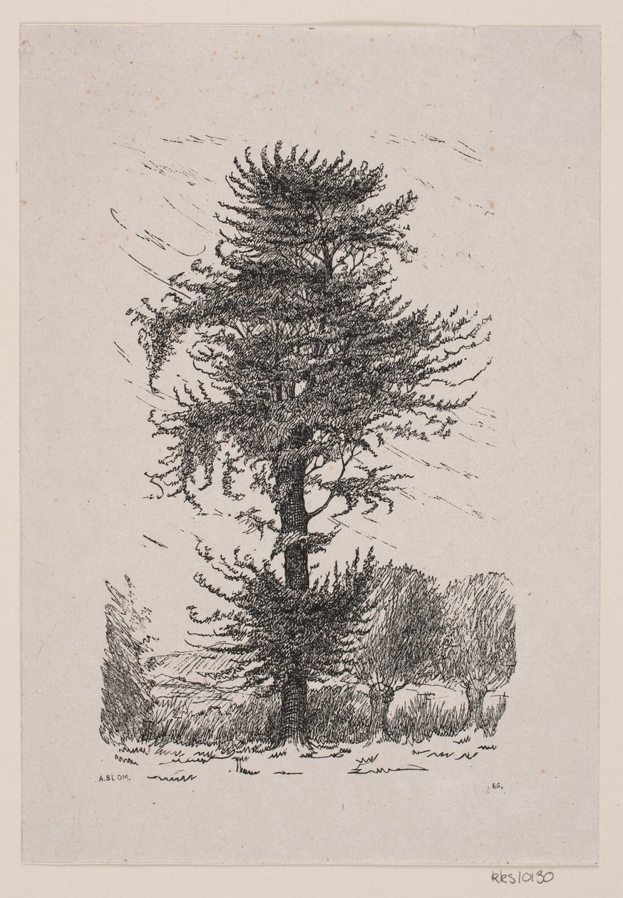 Oak at Guldberg by Alexander Blom