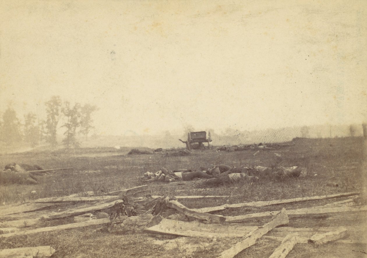 View on the Battlefield of Antietam, September 1862 by Alexander Gardner