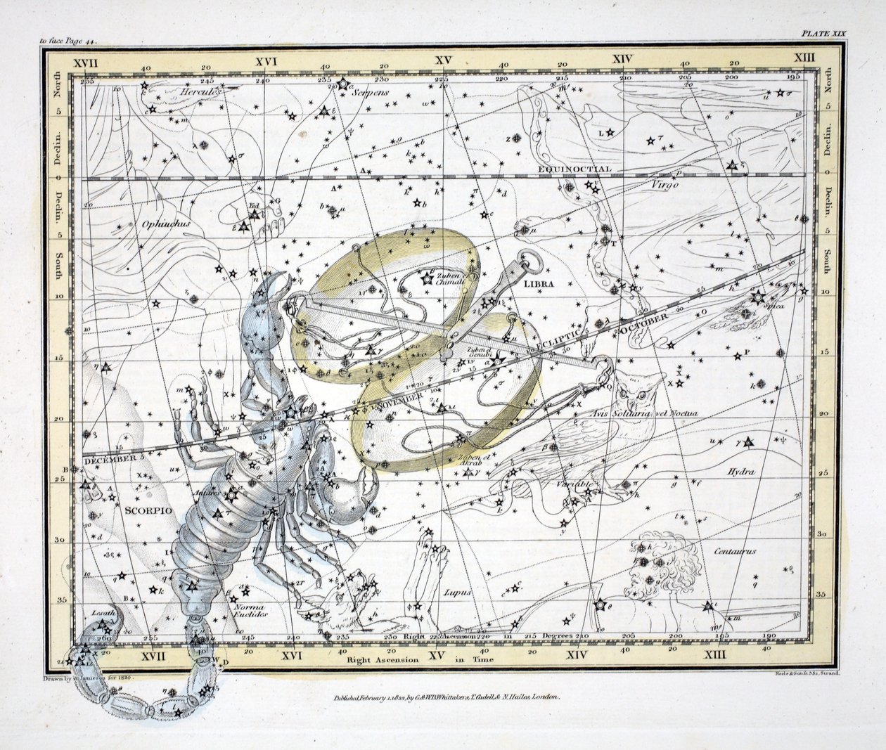 The Constellations (Plate XIX) Libra and Scorpio by Alexander Jamieson