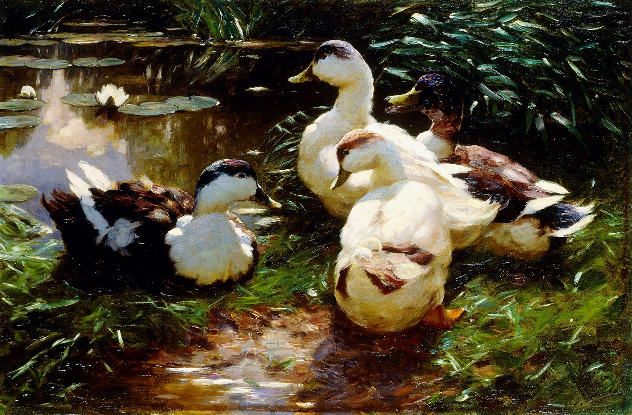 Ducks on a Riverbank by Alexander Koester