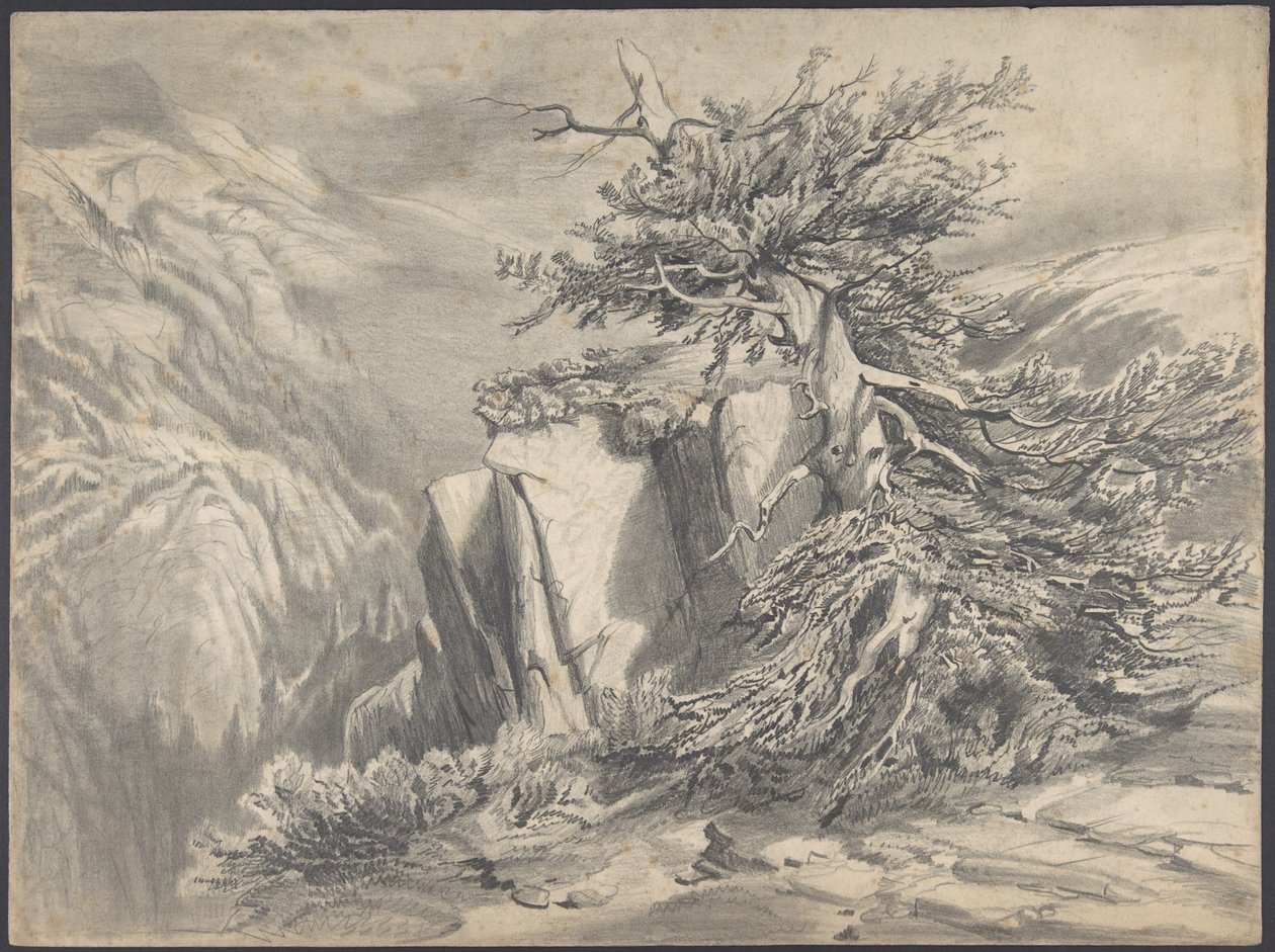 Broken Tree in Mountainous Landscape by Alexandre Calame