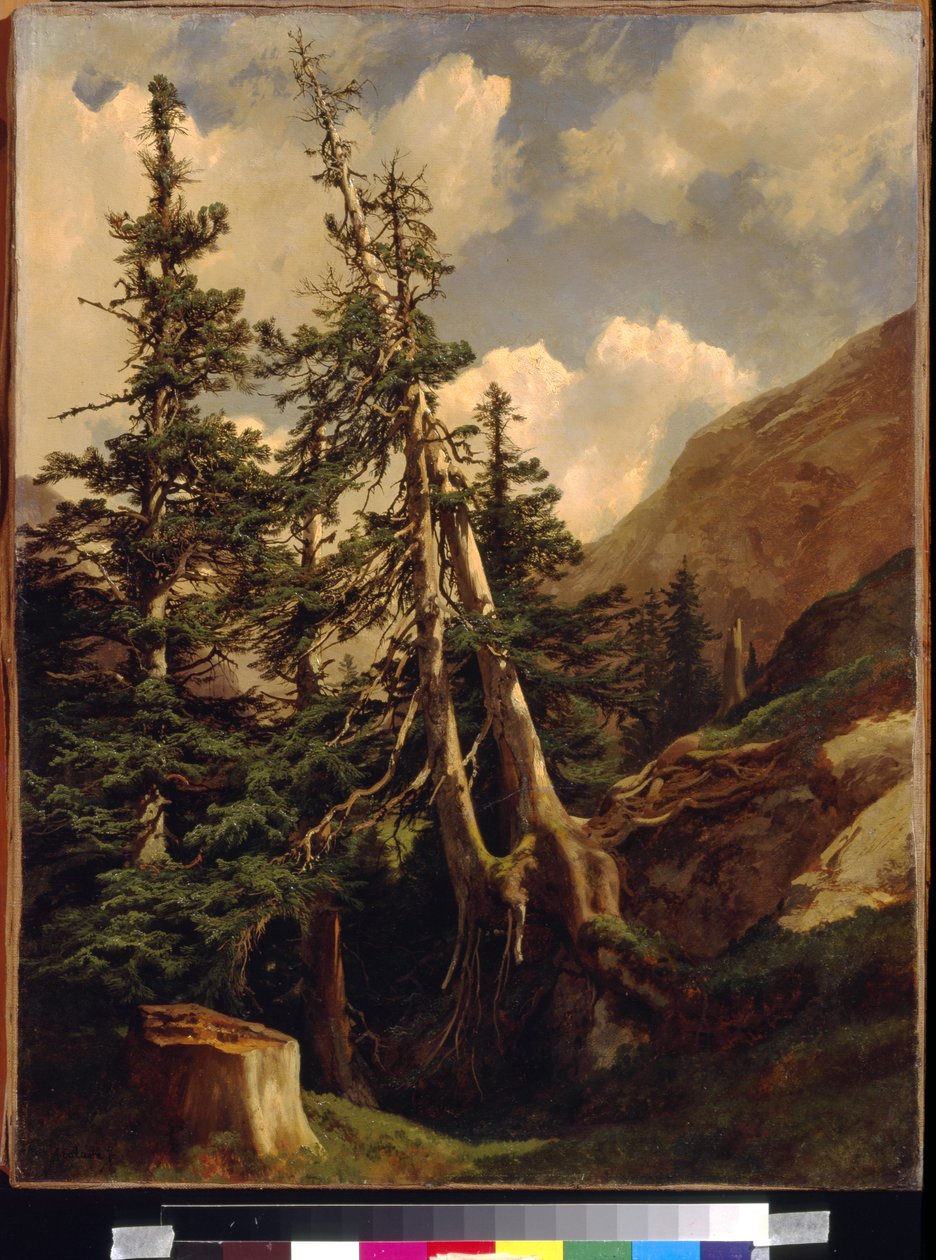 Firs in the Mountains by Alexandre Calame