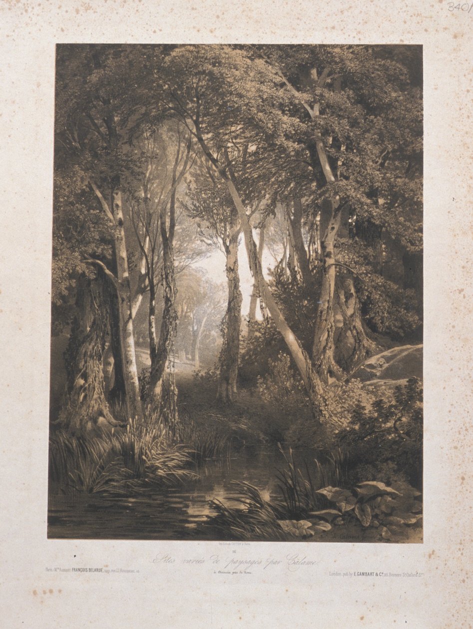 Landscape by Alexandre Calame