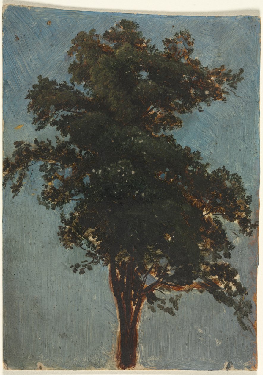 Tree Study by Alexandre Calame