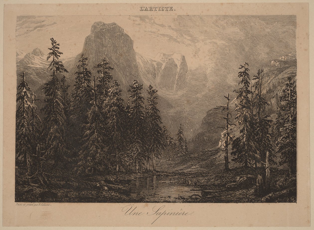 A Pine Forest by Alexandre Calame