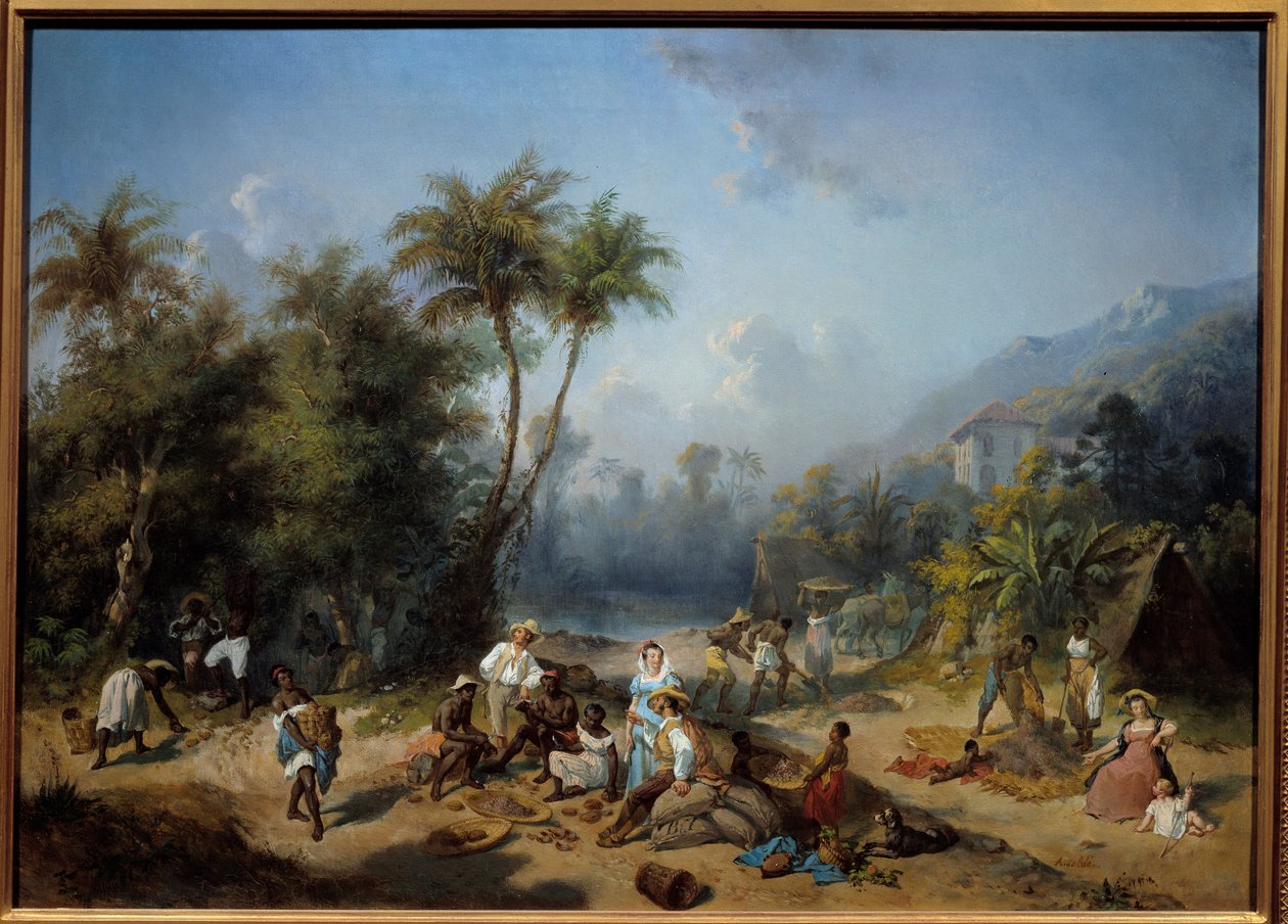 A Cocoa Plantation in the West Indies by Alexandre Solde
