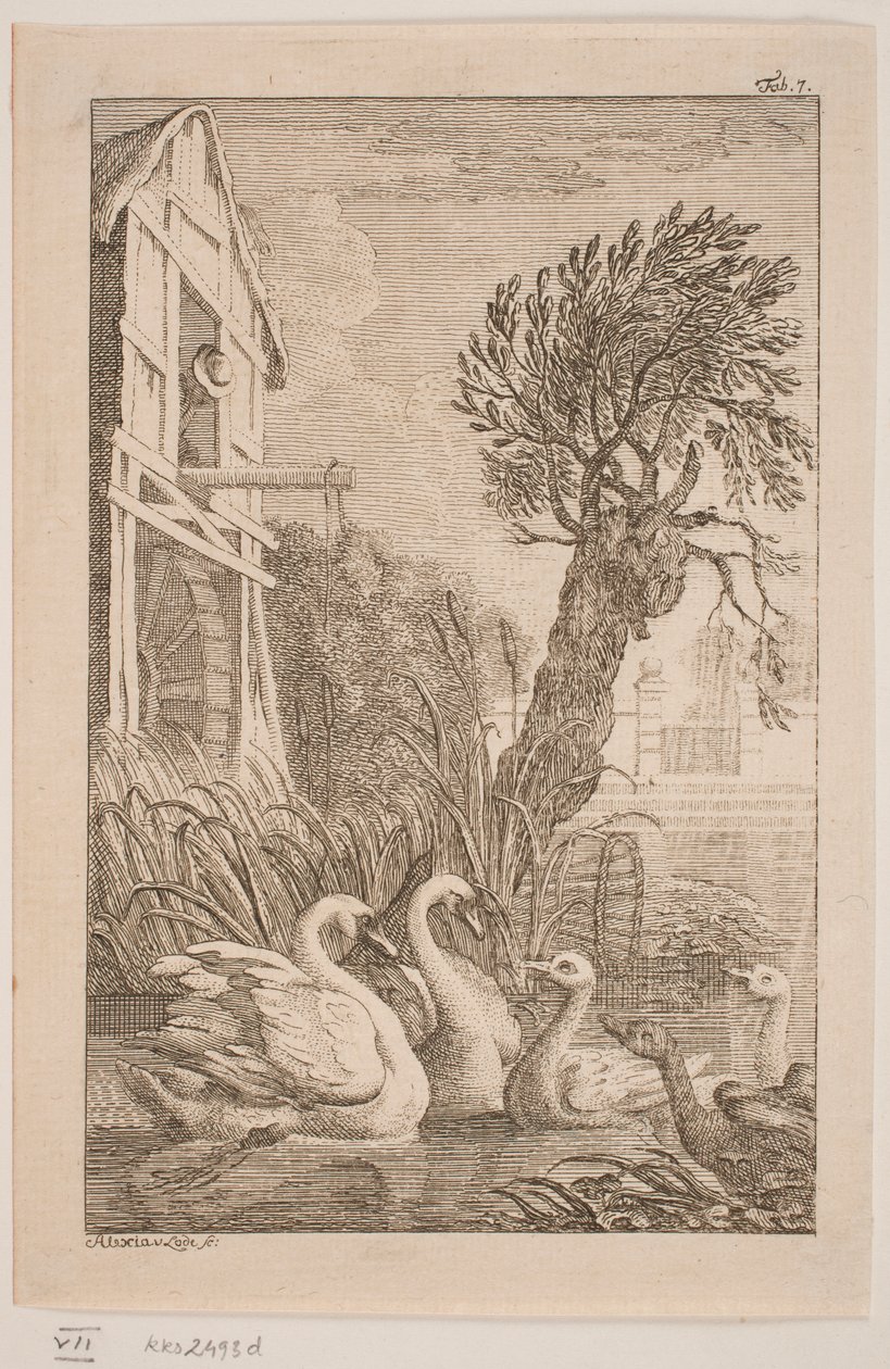 The Goose and the Swan by Alexia von Lode