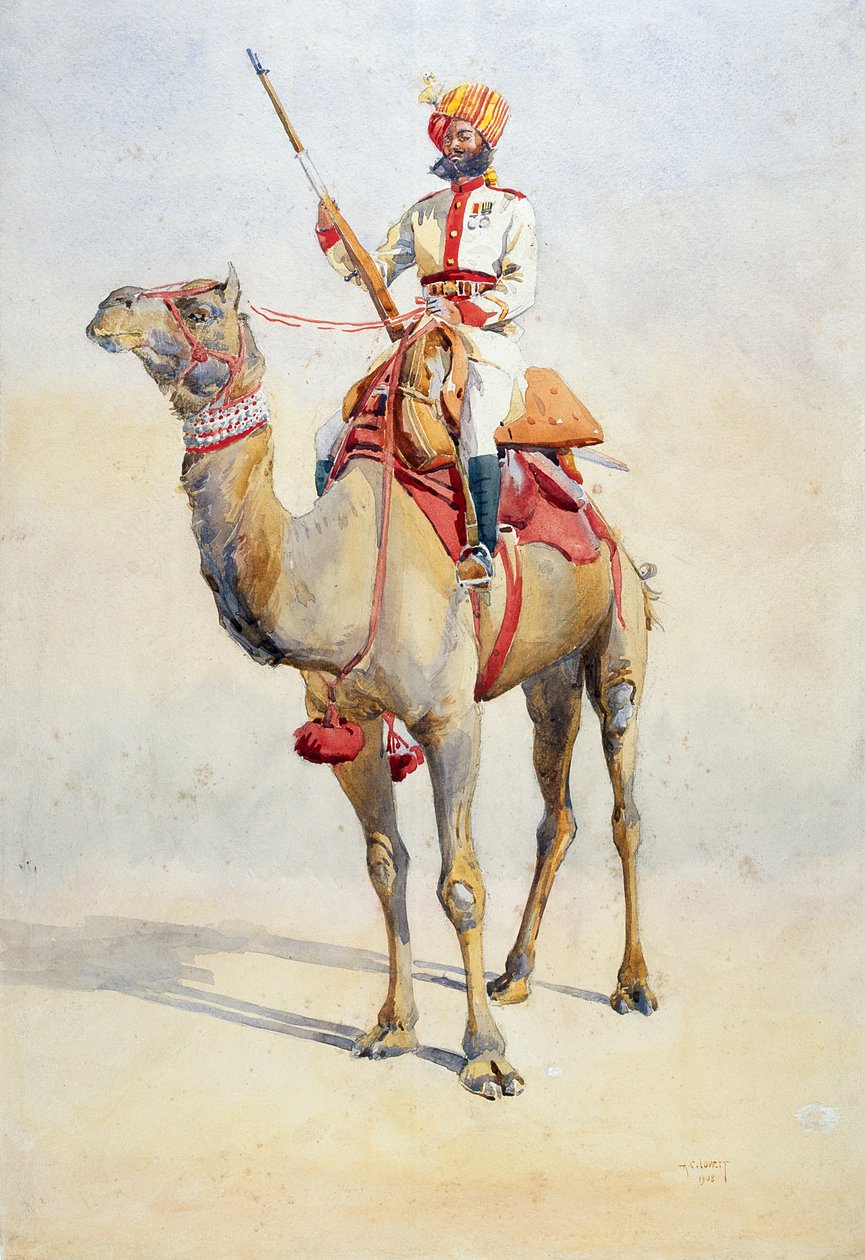 Sowar of the Bikanir Camel Corps, Illustration for 