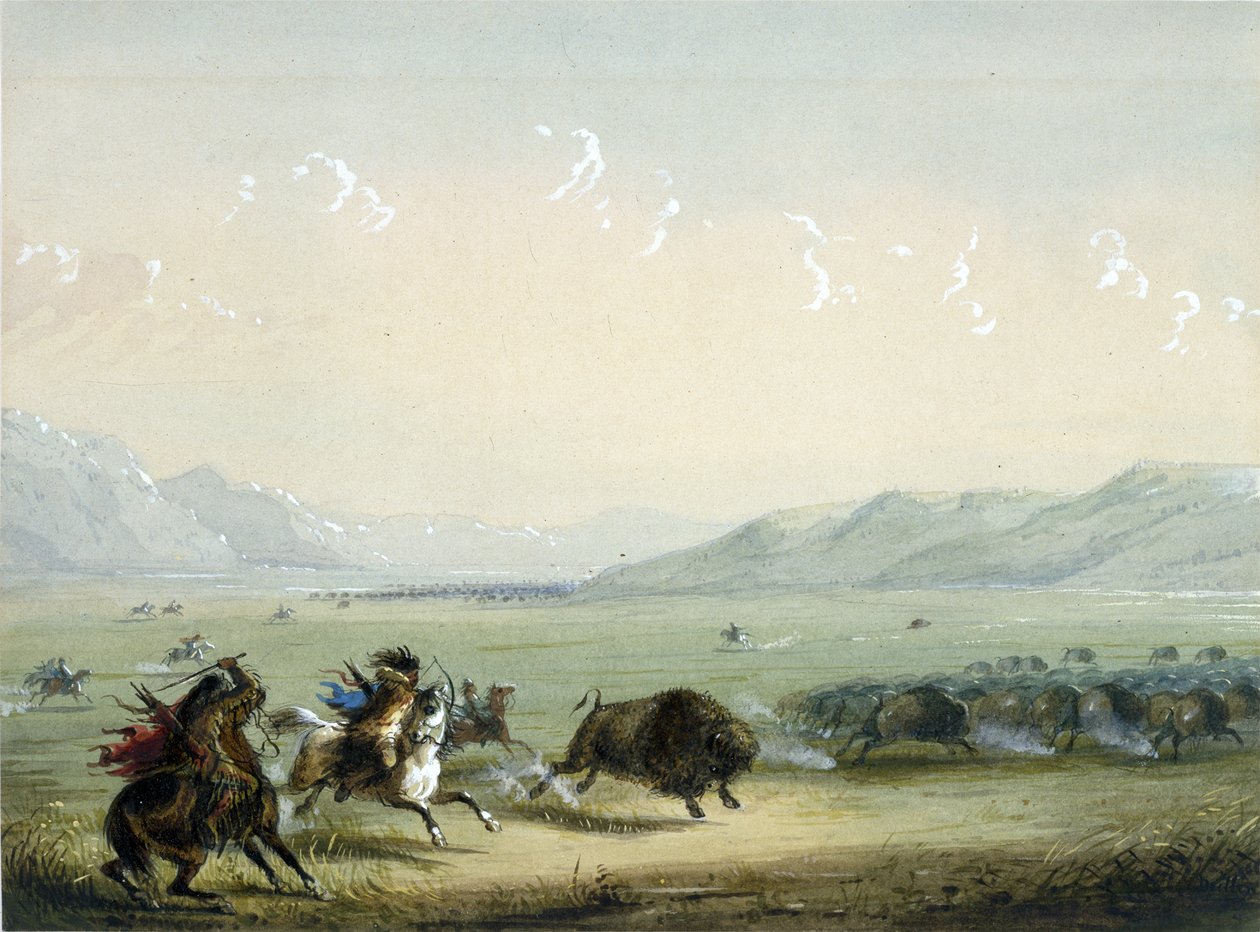 Running Buffalo by Alfred Jacob Miller