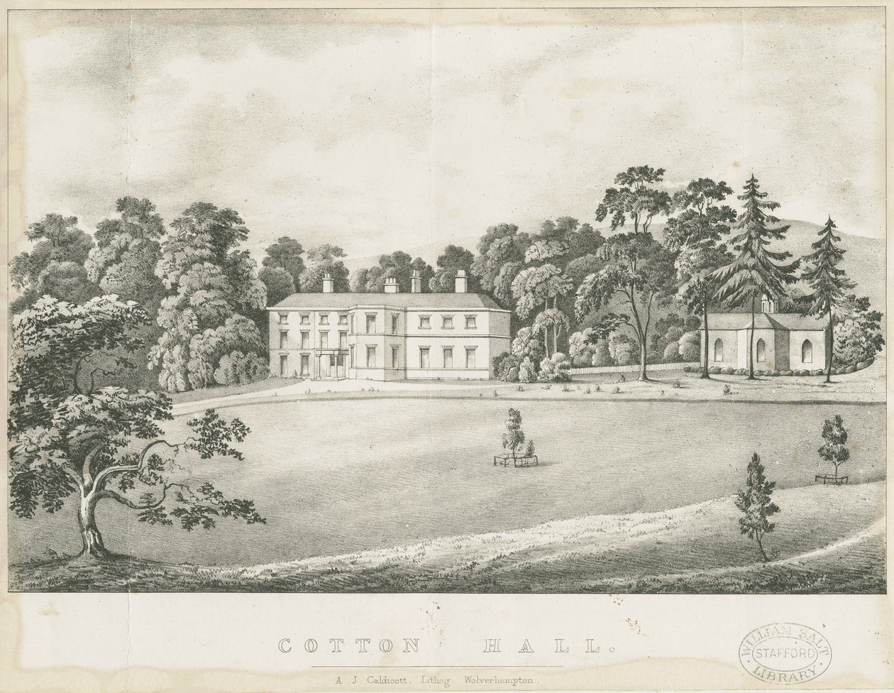 Cotton - Hall by Alfred Jolly Caldicott