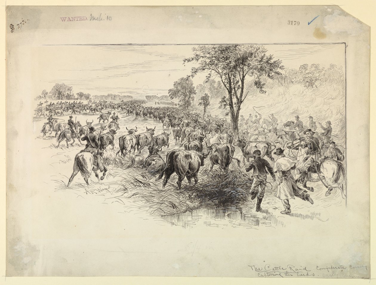 The Cattle Raid by the Confederate Cavalry by Alfred R. Waud