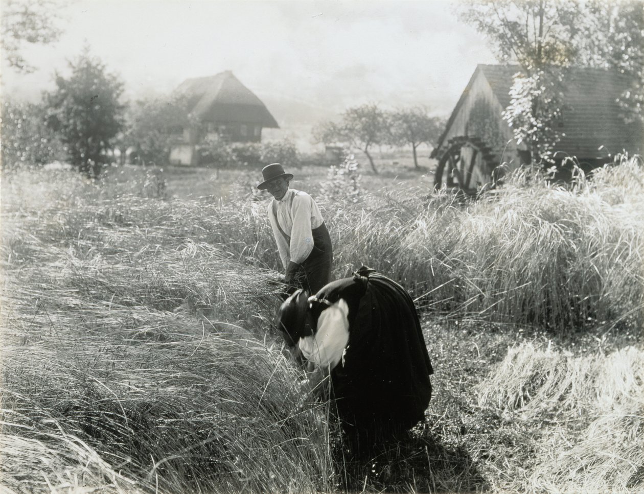 Early Morning by Alfred Stieglitz