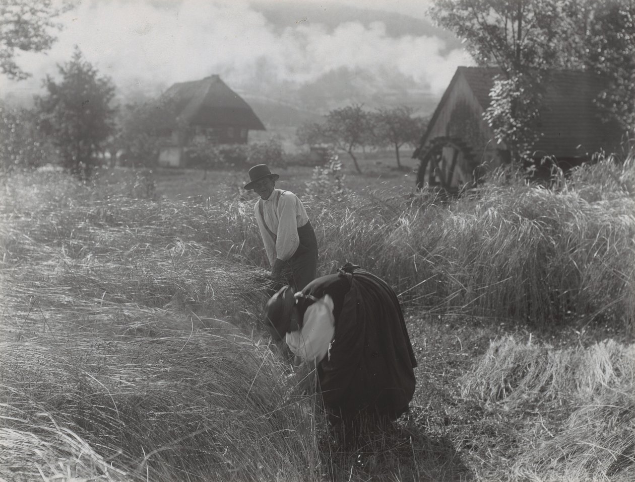 Harvesting, Black Forest by Alfred Stieglitz