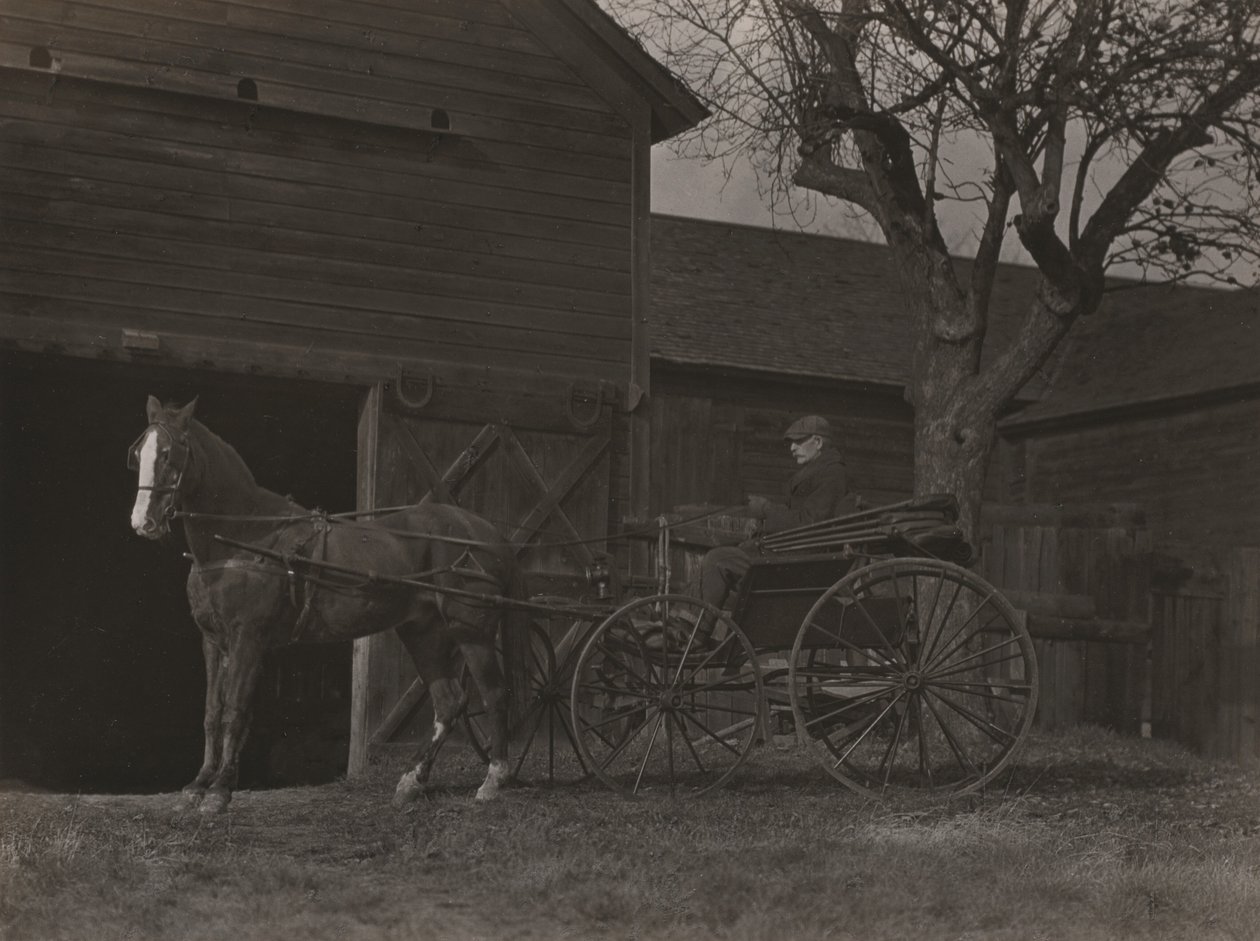 Horse and Carriage by Alfred Stieglitz