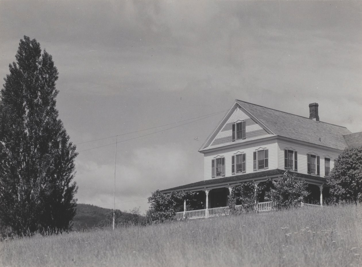 House on the Hill, Lake George by Alfred Stieglitz