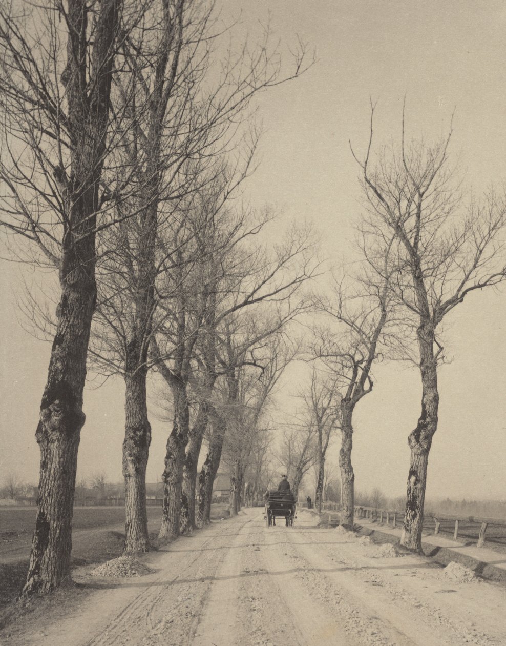 November Days by Alfred Stieglitz