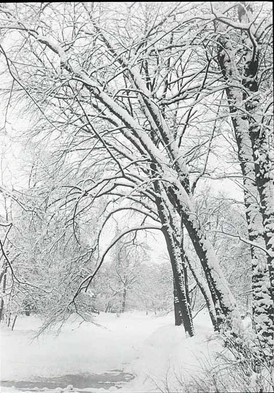 Snowscape, Berlin by Alfred Stieglitz